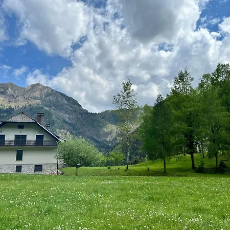 Gaj Pod Brezami Luče