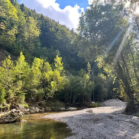 Gaj Pod Brezami Nastanitev v družini Luce