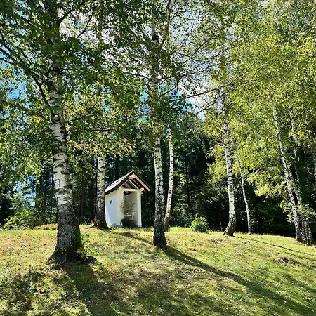 Gaj Pod Brezami Homestay *