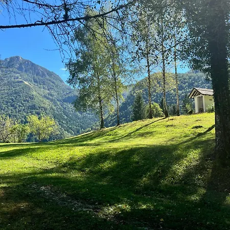 Gaj Pod Brezami Luče