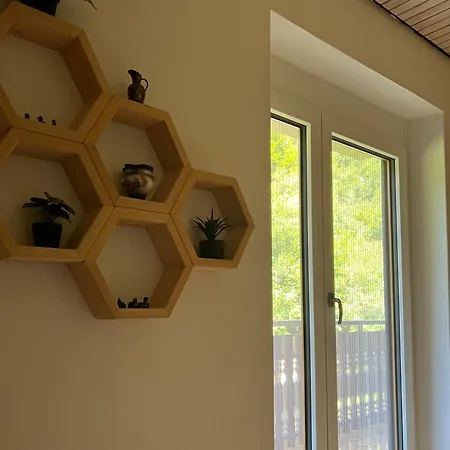 Séjour chez l'habitant Gaj Pod Brezami *