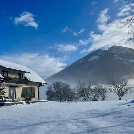 Gaj Pod Brezami * Luce