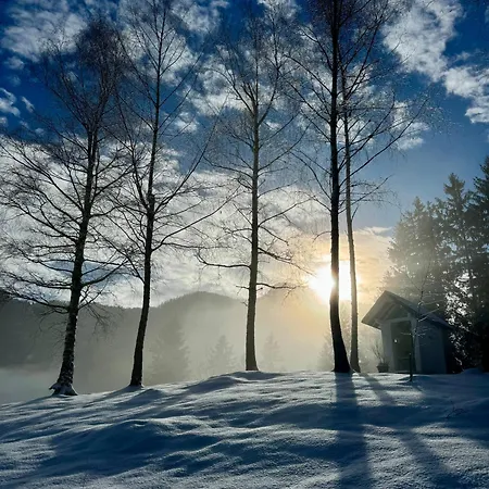 Gaj Pod Brezami * Luce