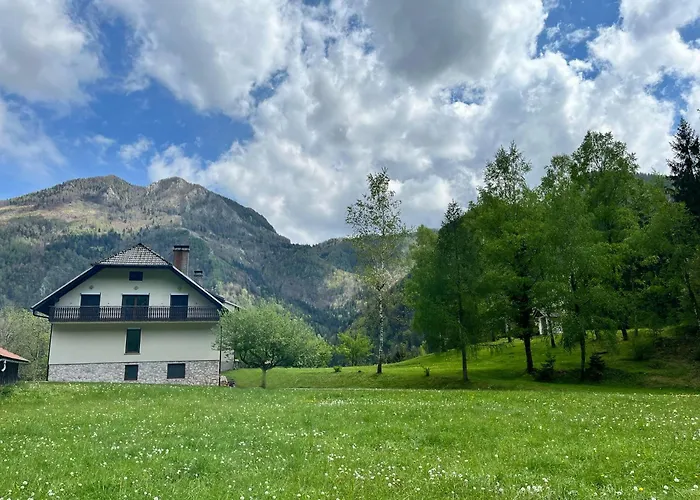 Gaj Pod Brezami Luče