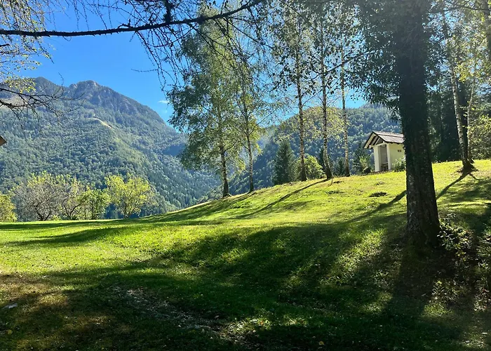 Gaj Pod Brezami Luče