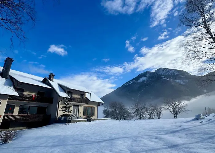 Gaj Pod Brezami Luče