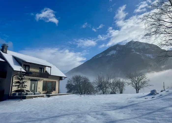 Gaj Pod Brezami * Luče