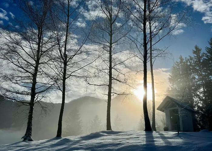 Gaj Pod Brezami * Luče